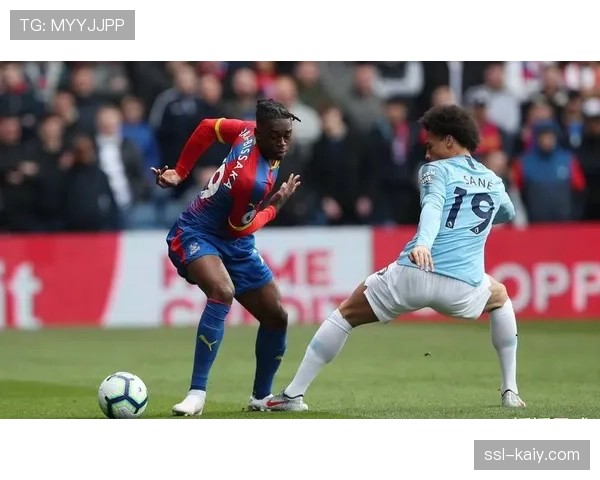 即时：由于体育场周边出现可疑包裹，水晶宫主场对阵布伦特福德的比赛延迟开球